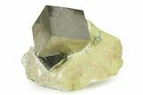 Two Large Natural Pyrite Cube In Rock - Navajun, Spain #325100-1
